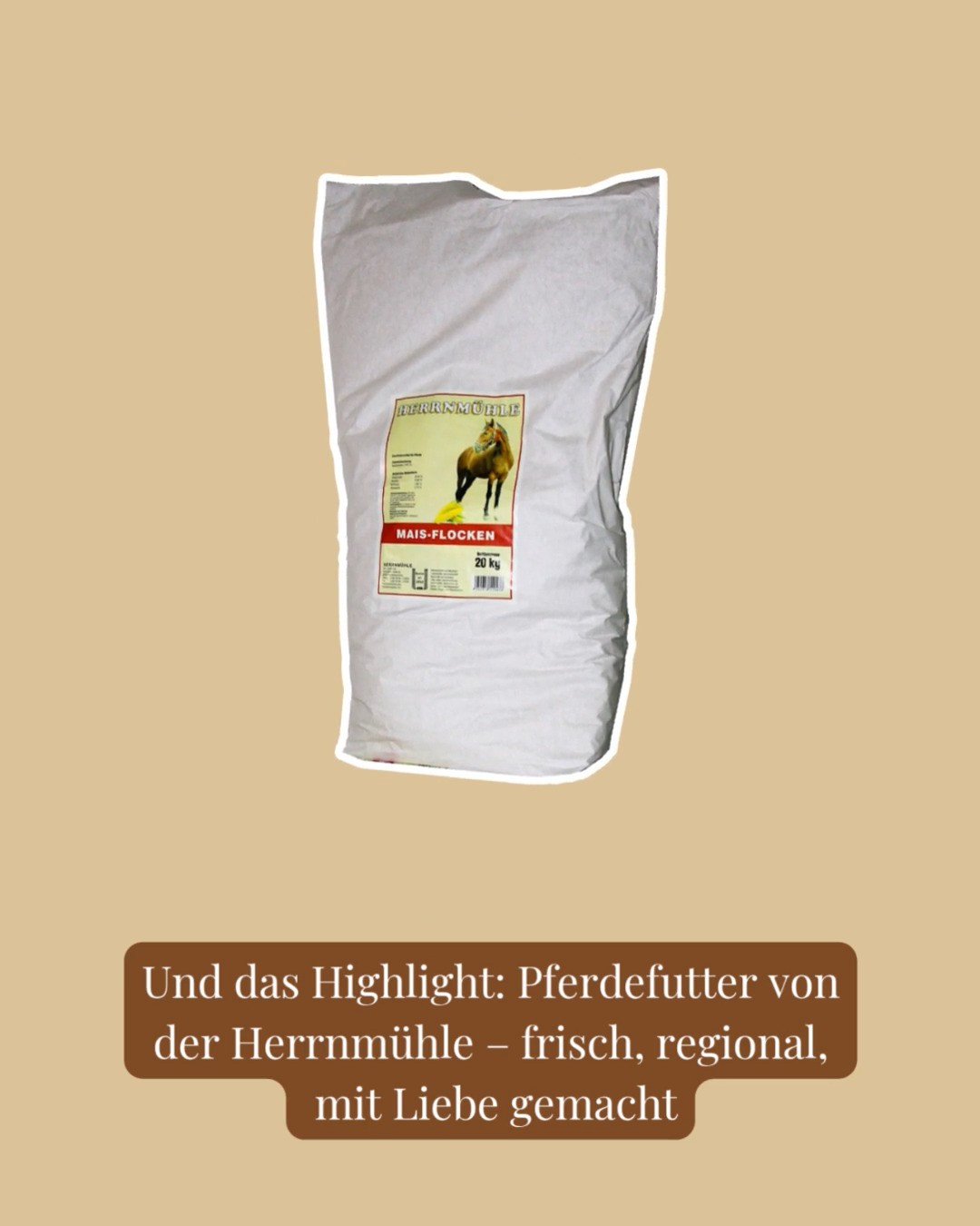Die Herrnmühle – Kraft fürs Pferd