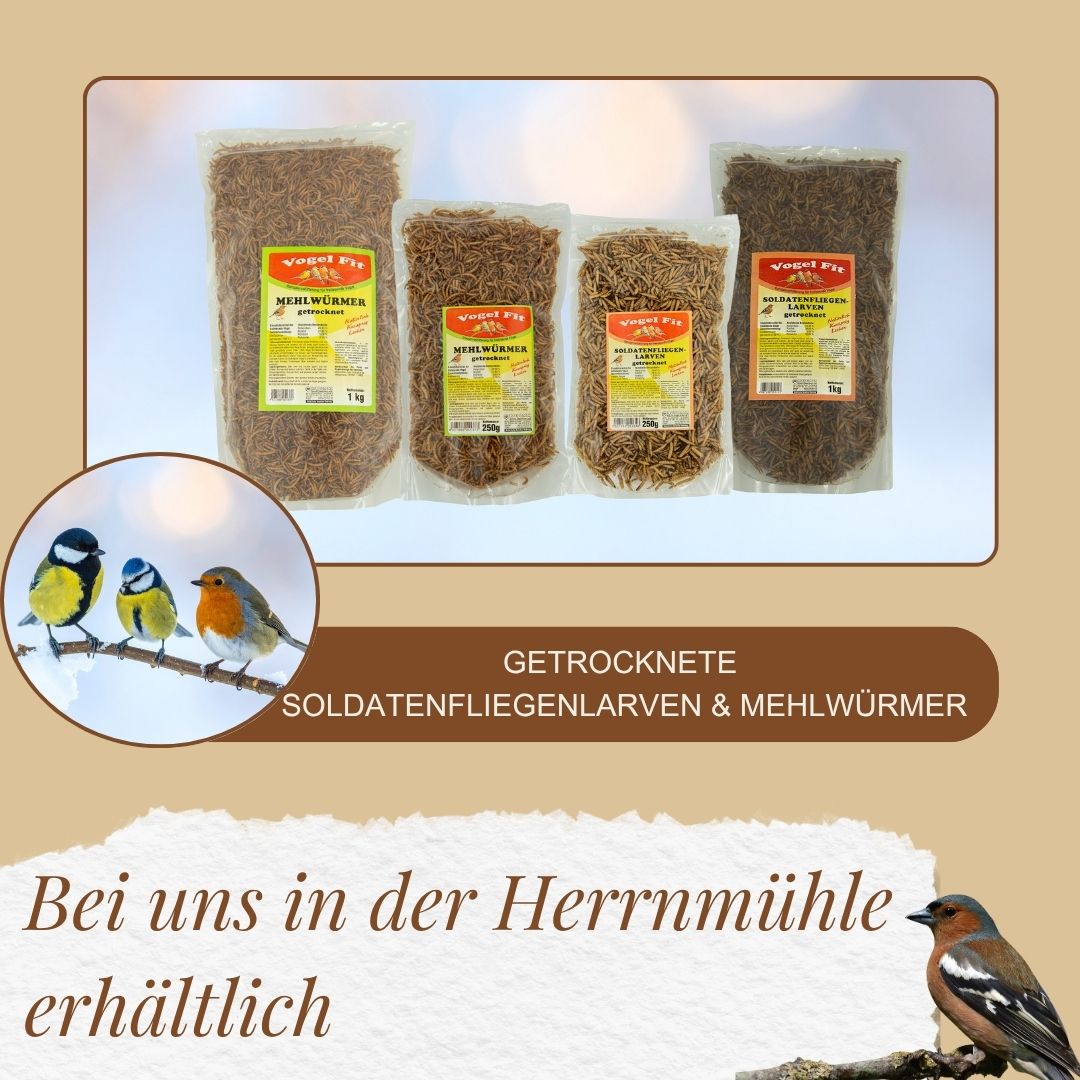 Ergänzung im Sortiment! 

Unsere gefiederten Freunde dürfen sich freuen:
Zu den beliebten Mehlwürmern gibt’s jetzt neu auch getrocknete Soldatenfliegenlarven! 

Perfekt für alle, die ihren Gartenvögeln eine abwechslungsreiche und natürliche Fütterung bieten möchten.

Wir freuen uns auf euren Besuch!

Euer Herrnmühle-Team