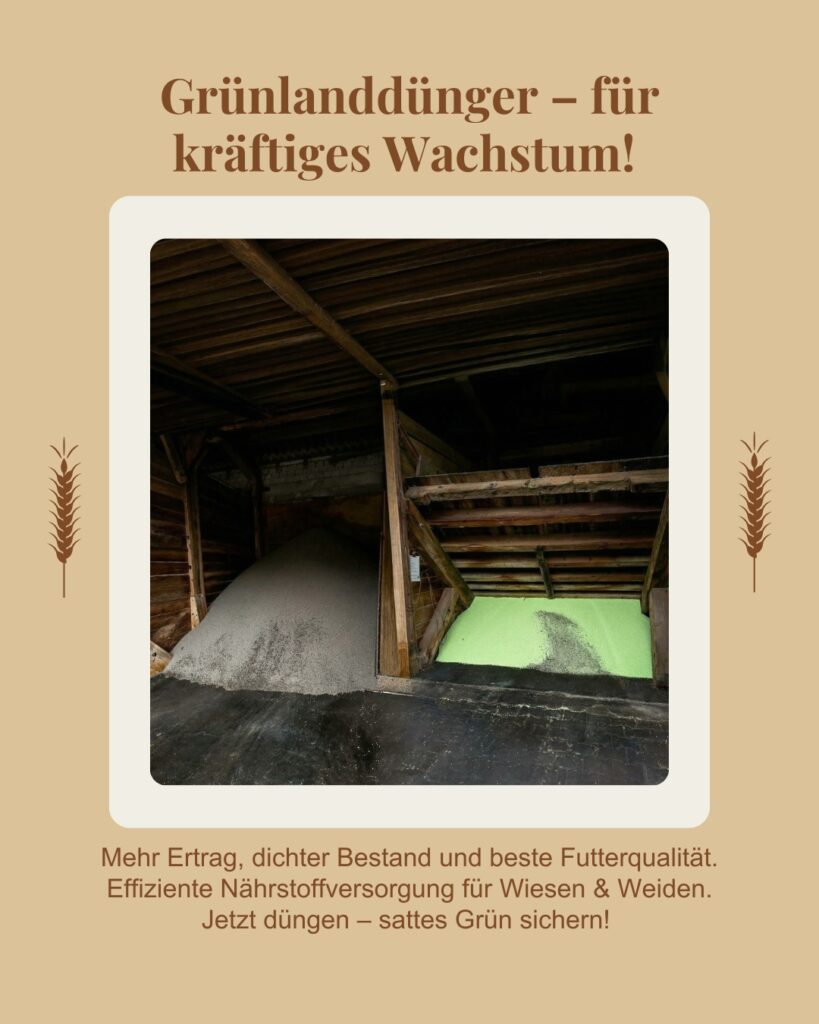 645921380_1501029212032203_4558357195250130145_n